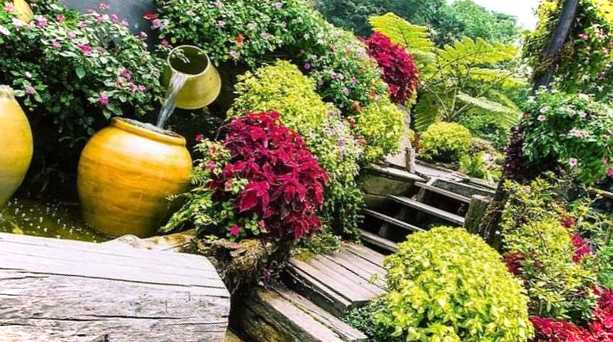 Поради ландшафтного дизайнера для облаштування гарного затишного саду