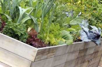 Як зробити теплі грядки своїми руками? Переваги та недоліки