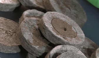 Вирощування розсади в торф'яних таблетках - переваги та недоліки