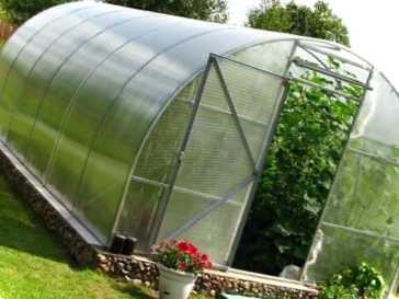 Як правильно розташувати теплицю на ділянці