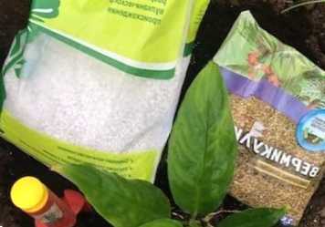 Вермикуліт і перліт для рослин - як застосовувати, що краще?