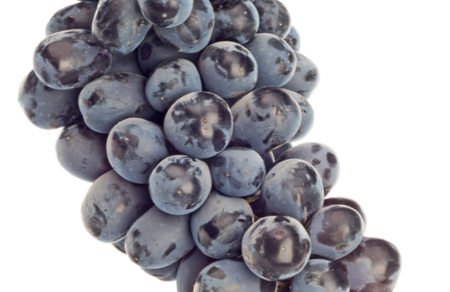 Як посадити виноград восени покроково добірка найкращих порад