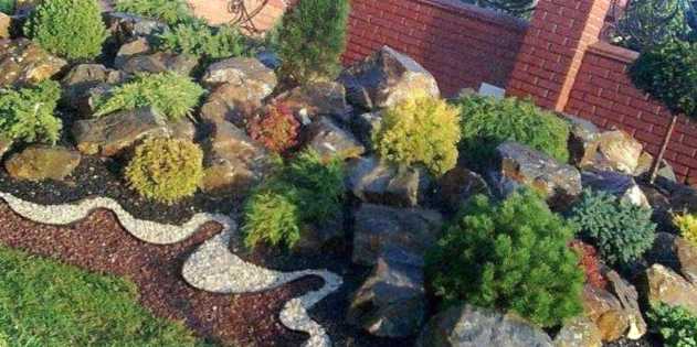 Альпінарій - що це таке та яке декоративне призначення альпійської гірки?