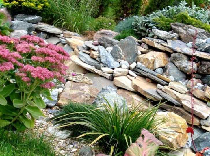 Палісадник перед будинком у селі ідеї будівництва та поєднання рослин