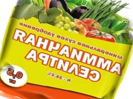 Аміачна селітра як добриво - інструкція із застосування