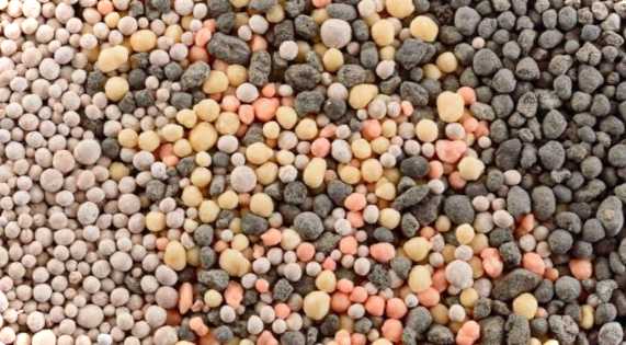 Вплив азотних та калійних добрив на рослини нестача та надлишок