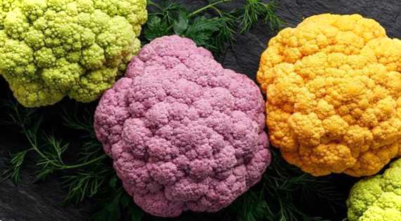 Яка буває цвітна капуста фото, найкращі сорти для відкритого ґрунту