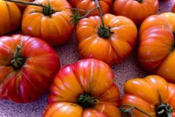 Збирання та зберігання врожаю календар збирання овочів з городу