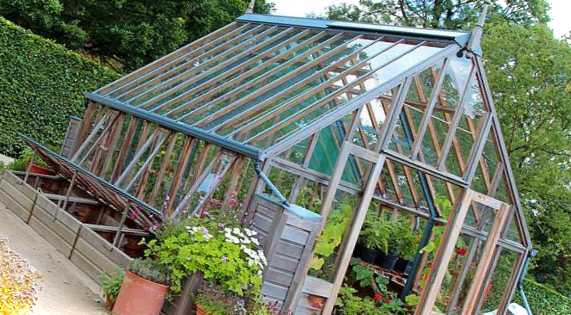 Що краще садити в теплиці правила посадок та поради щодо вибору