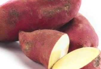 Батат що це, фото овочів, як росте і цвіте, як розмножується