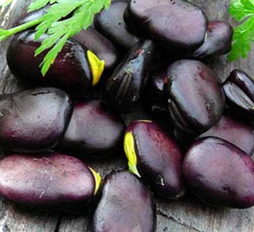 Що можна приготувати із чорних сушених бобів? Чим вони корисні?