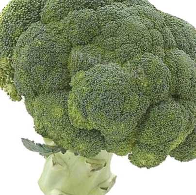 Капуста брокколі опис, характеристика, інші сорти та гібриди