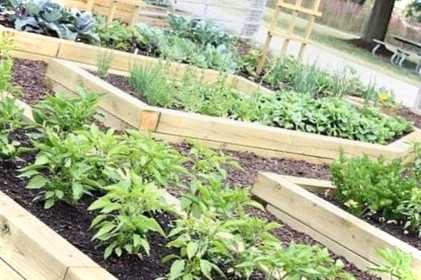 Огородження для грядок своїми руками з чого зробити борти