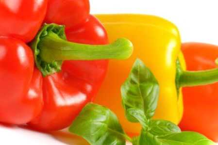 Павутинний кліщ на перцях, ніж обробити листя від шкідника