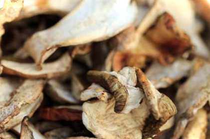 Як сушити гриби в лазні, мультиварці та іншими способами? Що потрібно знати?