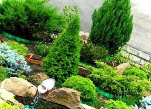 Як робиться гірка з хвойників своїми руками. Що потрібно знати про декорування ландшафту?