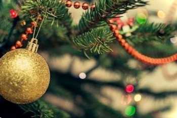 Як вибрати і довше зберегти новорічну ялинку