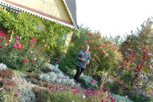 Як підняти ділянку на дачі чим найкраще піднімати рівень землі