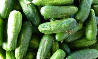 Як приготувати в домашніх умовах німецькі мариновані огірки