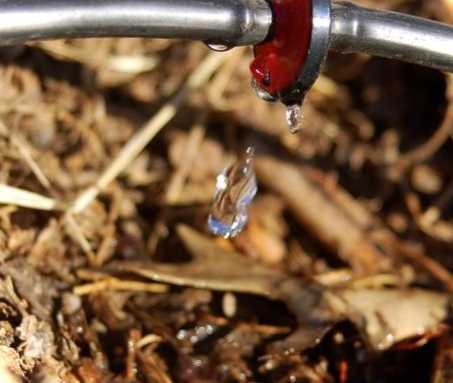 Шланги, краплинний полив на дачі та як їх зберігати чи потрібно прибирати на зиму