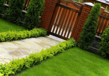 Догляд за газоном навесні після зими, влітку та восени. Підготовка газону по місяцях