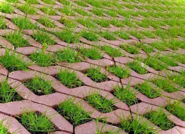 Трава у швах круглої бруківки - фото з інструкцією про прибирання
