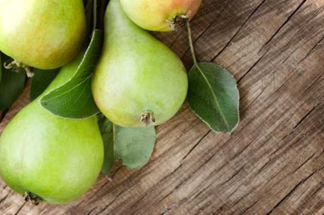 Чим обробити грушу навесні добірка найкращих засобів від шкідників