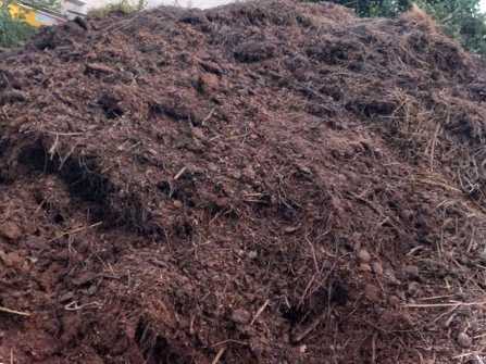 Що краще курячий послід чи кінський гній? Поради від фахівців