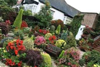 Колористика в ландшафтному дизайні, як поєднувати кольори дерева