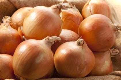 Як зберігати цибулю взимку в домашніх умовах