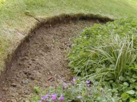 Як розділити газон від клумби - відповіді дизайнерів. Що для цього потрібно?