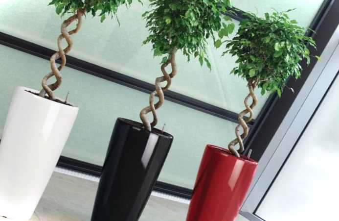 Як зробити гарне кашпо для кімнатних квітів своїми руками?