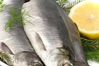 Як смачно засолити оселедець в домашніх умовах