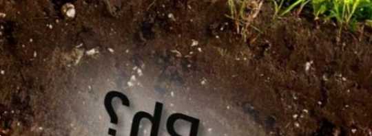 Рh ґрунту для рослин таблиця оптимальної кислотності ґрунту