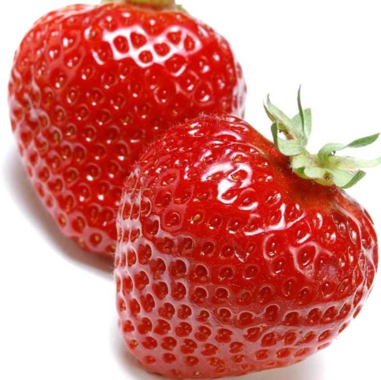 Чи потрібне підживлення полуниці в серпні? Відповіді на запитання, що часто ставляться