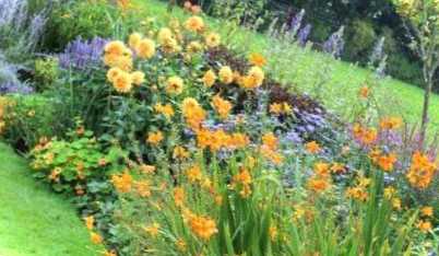 Клумби для квітів своїми руками фото найцікавіших і найкрасивіших клумб