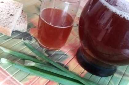 Як приготувати квас із квашеного сусла в домашніх умовах