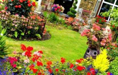 Оформлення присадибної ділянки у селі своїми руками ідеї щодо ландшафтного дизайну