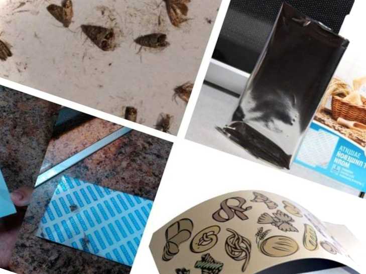 Пастки для молі та приманка для риби з феромонами які добавки краще