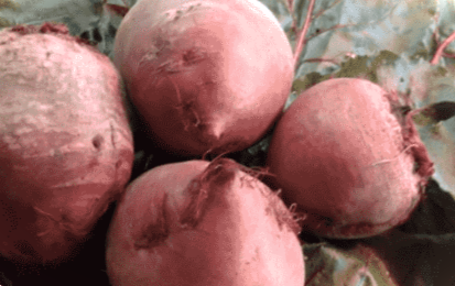 Маринований буряк на зиму - дуже смачно!