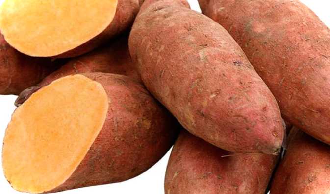 Батат що це, аналоги, користь та шкода солодкої китайської картоплі