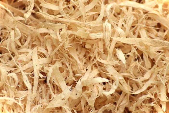 Комахи в тирсі які види можуть бути і чим вони страшні для людини