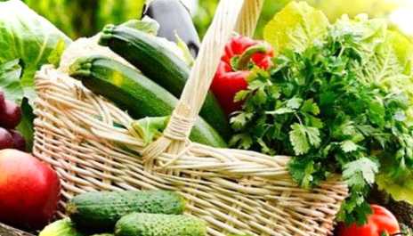 Екологічне органічне живе землеробство