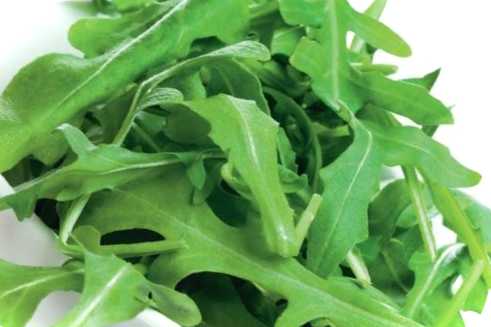 Шкідники на руколі, кропі, салаті