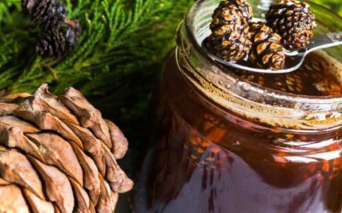Варення кедрове смачний рецепт. Яка користь від варення з шишок