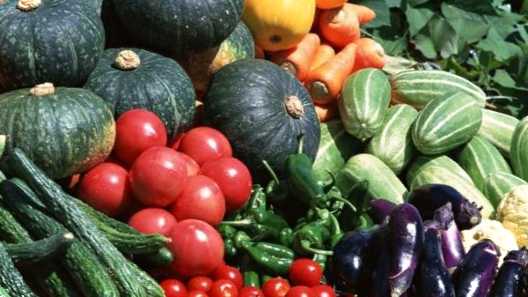 Способи та технології вирощування овочевих культур у відкритому ґрунті