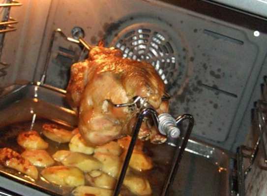 Які страви в духовці можна приготувати? Рецепти смачних страв