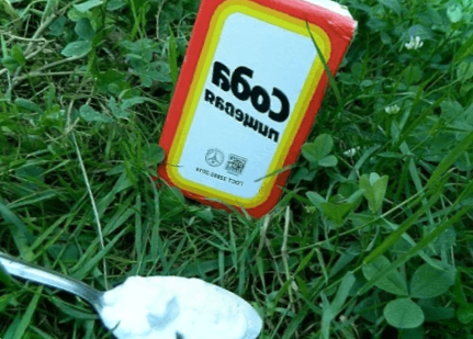 Харчова сода для саду та городу - способи застосування на ділянці