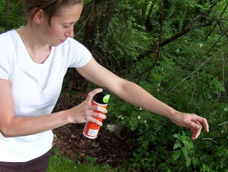 Акарицидні засоби визначення, призначення та особливості застосування