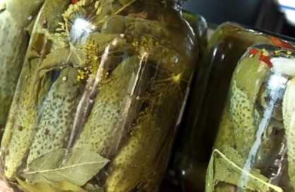 Солоні огірки у банках на зиму. Рецепти засолювання огірків, щоб були хрусткі